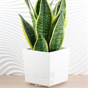 Горшок Квадро 3,3л белый с вкладкой - фото 18124