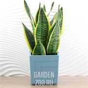 Горшок Квадро 3,3л ментол с вкладкой - фото 18126