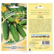 Огурец Зятек F1 скороспелый партенокарпический гибрид 10шт - фото 18597 Огурец Зятек F1 скороспелый партенокарпический гибрид 10шт - фото 18597