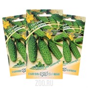 Огурец Зятек F1 скороспелый партенокарпический гибрид 10шт - фото 18598 Огурец Зятек F1 скороспелый партенокарпический гибрид 10шт - фото 18598