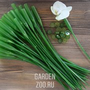 Удлинитель для цветов 50шт - фото 18662