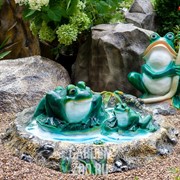 Крышка люка с лягушками - фото 18710