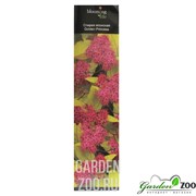 Спирея японская Голден Принцесс - фото 18962