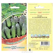 Огурец Зеленый поток F1 10шт - фото 19122