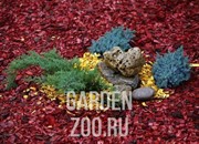 Декоративная щепа 60л красная - фото 19599