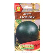 Арбуз Огонек - фото 19868