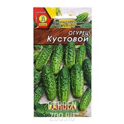 Огурец Кустовой - фото 20019