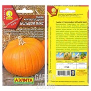 Тыква Большой макс - фото 20177