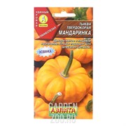 Тыква Мандаринка твердокорая - фото 20184