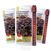 Базилик Темная ночь - фото 20202