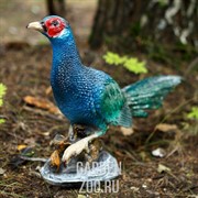 Фигура Фазан садовая F08046 - фото 20306