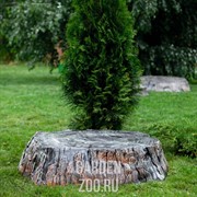 Крышка люка Пень средний полистоун U07698 - фото 20406