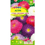 Астра Смесь срезочных сортов 0,2гр - фото 20541