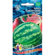 Семена Арбуз Сибирский гигант Уральский дачник - фото 20553