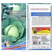 Капуста Б/К Теща золотая - фото 20565