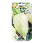 Редька Лоба (Китайская) - фото 20681