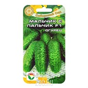 Огурец Мальчик с пальчик F1 7 шт - фото 20724 Огурец Мальчик с пальчик F1 7 шт - фото 20724
