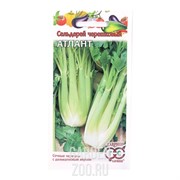 Сельдерей черешковый Атлант 0,1г - фото 20895