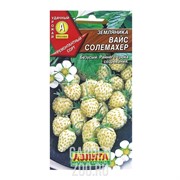 Земляника Вайс Солемахер белая - фото 20919