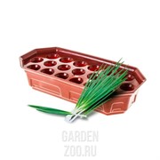 Набор для проращивания лука Урожай 36х17х8 - фото 21825