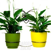 Подставка 96-002 настенная Сова на 2 цветка - фото 21841 Подставка 96-002 настенная Сова на 2 цветка - фото 21841