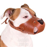 Намордник Пит Бультеръер 312 - фото 21972