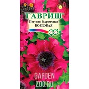 Петуния Бордовая 7шт - фото 22237