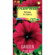 Петуния Тоуга 7шт - фото 22255