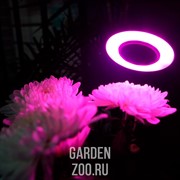 Фитосветильник Кольцо на прищепке 10 Вт - фото 22674