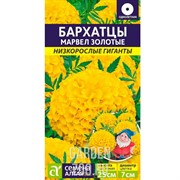 Бархатцы Марвел золотые 5шт - фото 22742