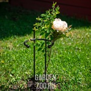 Опора для садовых роз металлическая высота 50см 57-927 - фото 23025