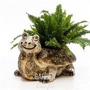 Кашпо Черепаха большая F08436 - фото 23036