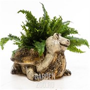 Кашпо Черепаха большая F08436 - фото 23037