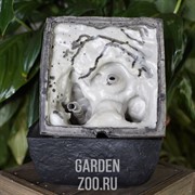 Фонтан настольный с подсветкой Птички Грин Эпл - фото 23102