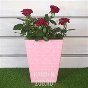 Коробка для цветов 12,5*18*22,5 - фото 23201