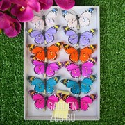 Бабочки на прищепке 8см - фото 23291
