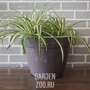 Горшок Асти 15л шаде-белый - фото 23370