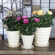 Кашпо Бамбук №2 с подставкой - фото 23410