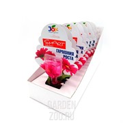 Стимулятор ДЖОЙ для комн. цветов Гармония роста 30 мл - фото 23920