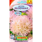 Астра Яблочная - фото 24479