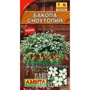 Бакопа Сноутопия - фото 24487