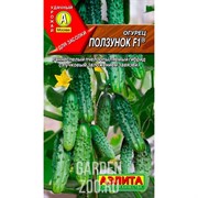 Огурец Ползунок  F1 - фото 24845