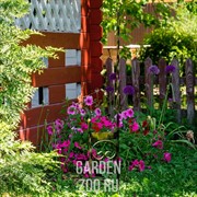 Декроттуар садовый кованый для обуви высота 102см 62-008 - фото 25148