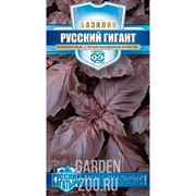 Базилик Русский гигант фиолетовый 0,1г - фото 25229