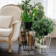 Цветочница металлическая на 1 цветок Лофт высота 65см 66-401 - фото 25734 Цветочница металлическая на 1 цветок Лофт высота 65см 66-401 - фото 25734