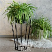 Цветочница металлическая на 1 цветок Лофт высота 65см 66-401 - фото 25737 Цветочница металлическая на 1 цветок Лофт высота 65см 66-401 - фото 25737