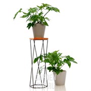 Подставка напольная металл с деревом Лофт на 1 цветок высота 73см 66-412 - фото 25753