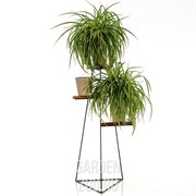 Подставка для цветов металл напольная с деревом Лофт высота 101см 66-424 - фото 25769