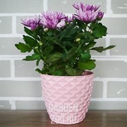 Горшок Кападоки 1,4 л. с пр. поддоном розовый - фото 25864