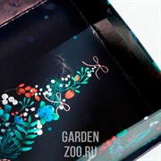 Коробка-книга Волшебство 20х12,5х5см - фото 26035